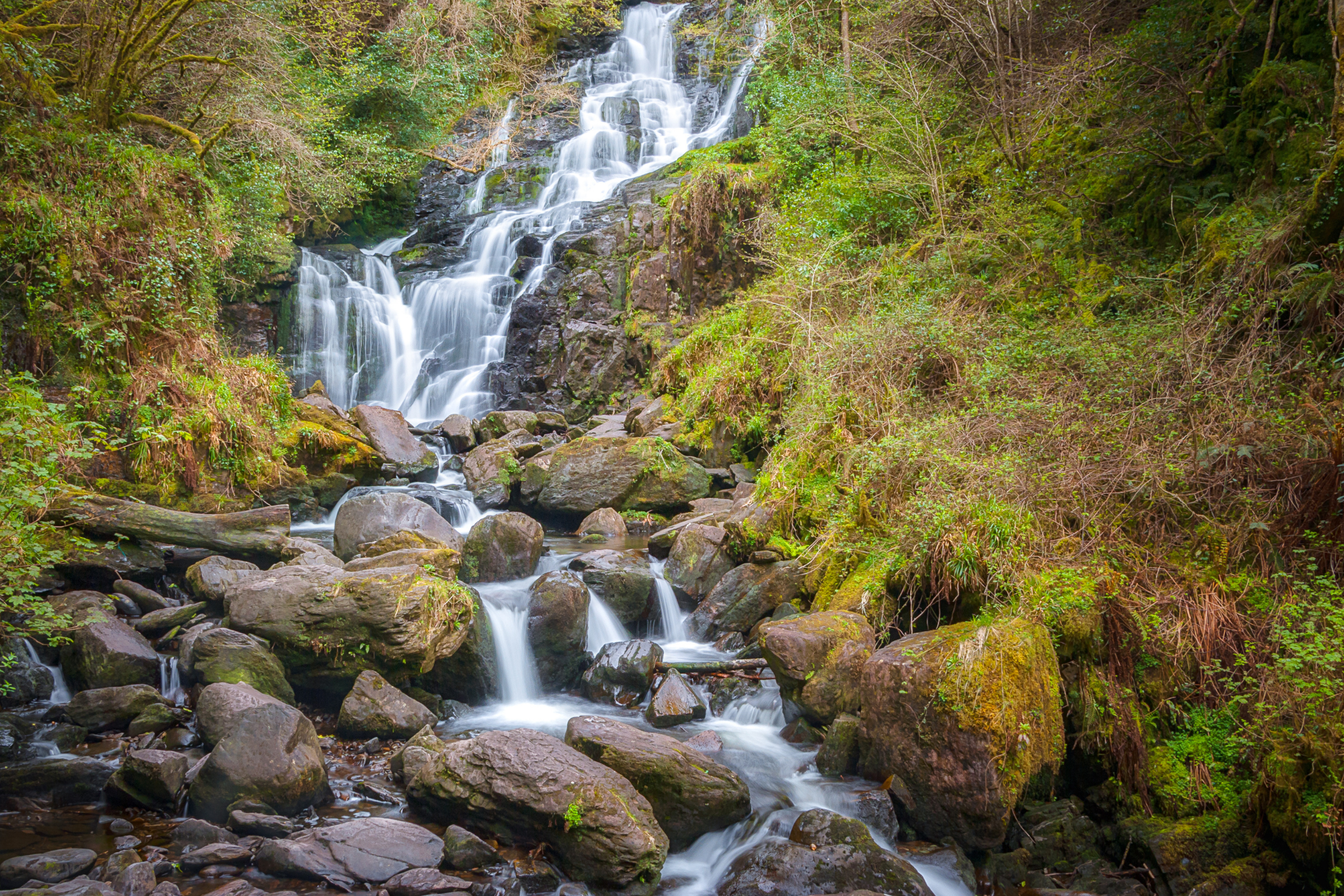 killarney (3).webp